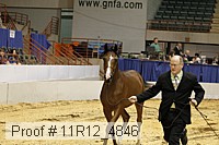 11r12_4846 proof