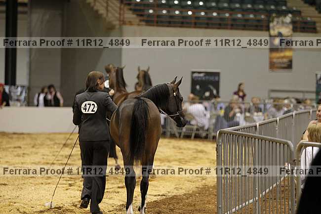 Proof 11r12_4849