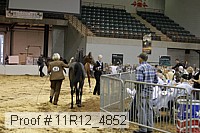 11r12_4852 proof