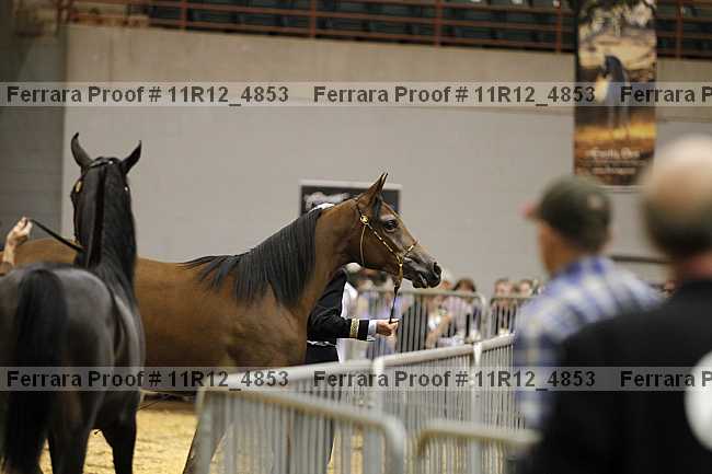 Proof 11r12_4853