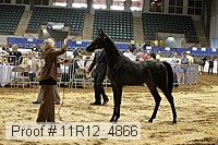 11r12_4866 proof