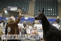 11r12_4867 proof