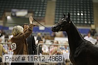 11r12_4868 proof