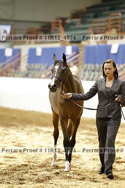 Proof 11r12_4874