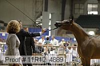 11r12_4889 proof