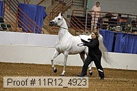 11r12_4923 proof
