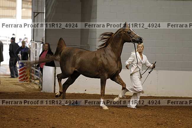 Proof 11r12_4924