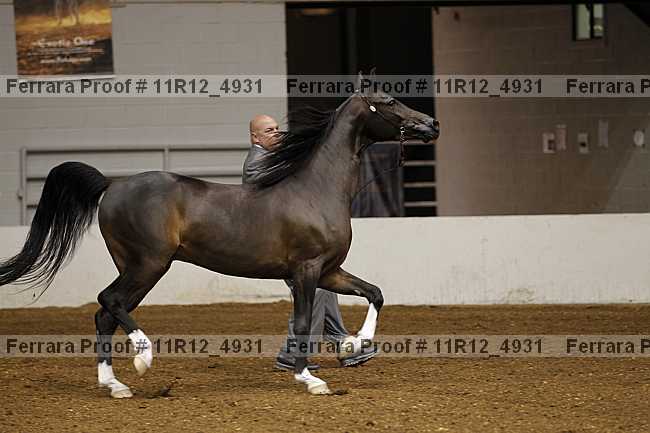 Proof 11r12_4931