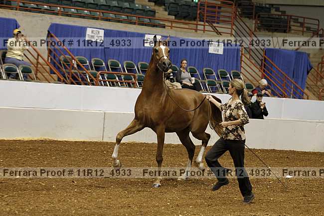 Proof 11r12_4933