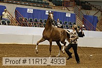 11r12_4933 proof