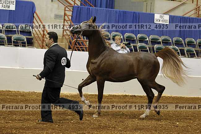 Proof 11r12_4935