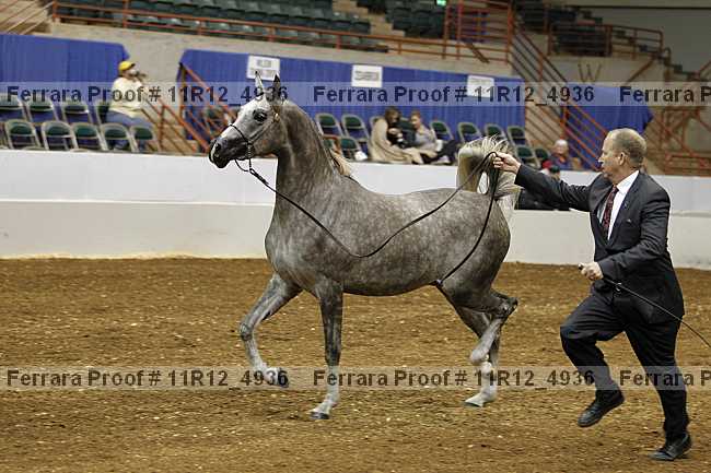 Proof 11r12_4936
