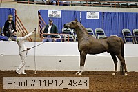 11r12_4943 proof