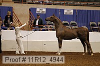 11r12_4944 proof