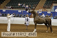 11r12_4945 proof