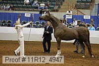 11r12_4947 proof