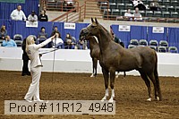 11r12_4948 proof