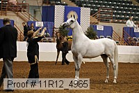 11r12_4965 proof