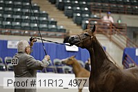 11r12_4977 proof