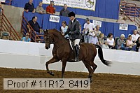 11r12_8419 proof