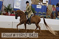 11r12_8422 proof