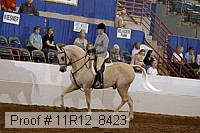 11r12_8423 proof