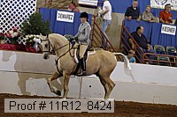 11r12_8424 proof