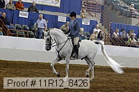 11r12_8426 proof