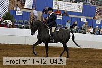 11r12_8429 proof