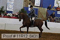 11r12_8431 proof