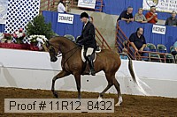11r12_8432 proof