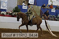 11r12_8434 proof
