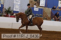 11r12_8436 proof