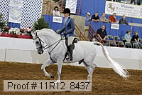 11r12_8437 proof