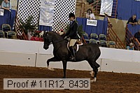 11r12_8438 proof