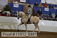 11r12_8441 proof
