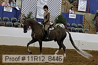 11r12_8446 proof