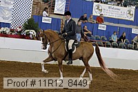 11r12_8449 proof