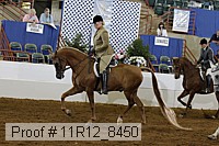 11r12_8450 proof