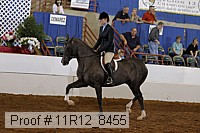11r12_8455 proof