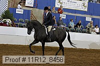 11r12_8458 proof