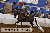 11r12_8459 proof