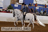 11r12_8463 proof