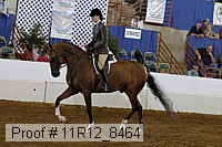 11r12_8464 proof