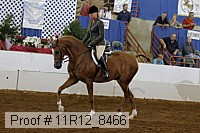 11r12_8466 proof