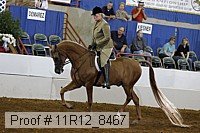 11r12_8467 proof