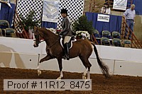 11r12_8475 proof