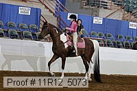 11r12_5073 proof