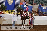 11r12_5079 proof