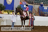 11r12_5080 proof